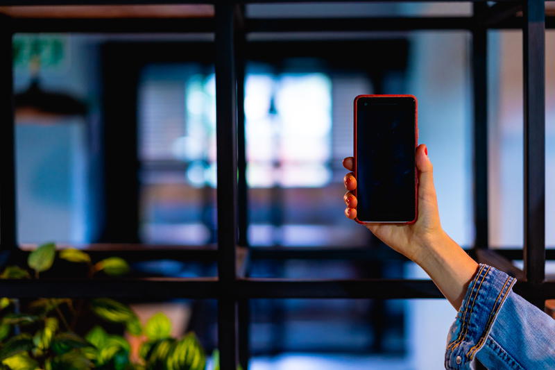 Hand holding up the google pixel phone in front of a glass wall with a green plant