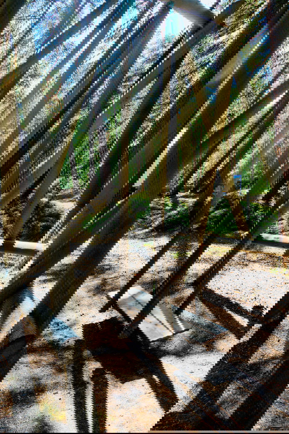 A wooden swing set in a wooded area.