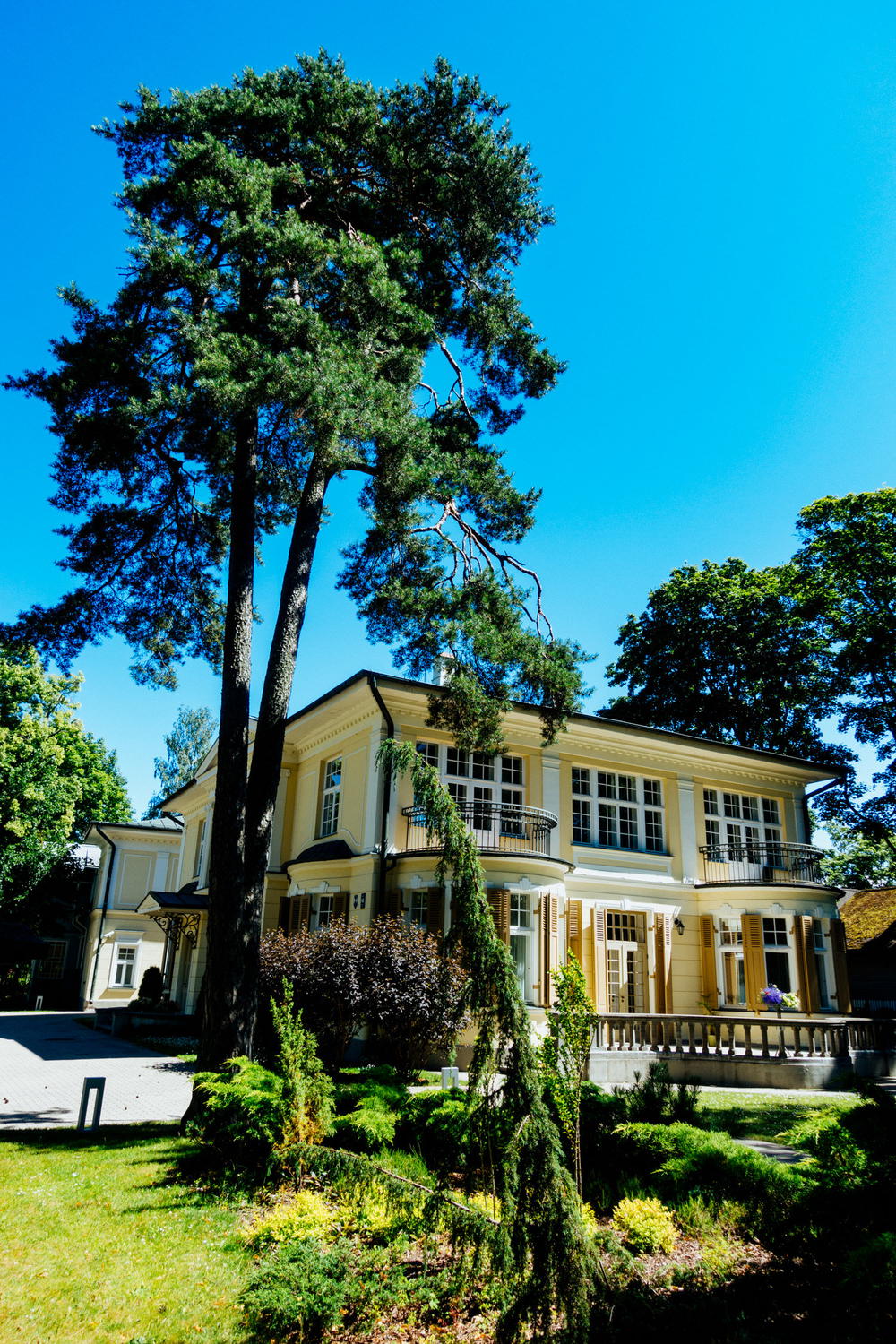 Historic wooden Victorian home with a large tree