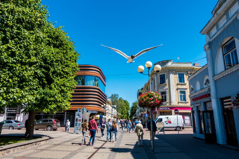 A bird flying in the sky.