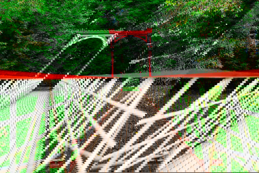 A red and white bridge in the middle of a wooded area.