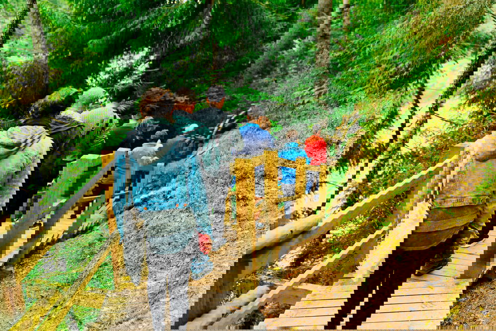 A group of people walking down a wooden path in the woods.