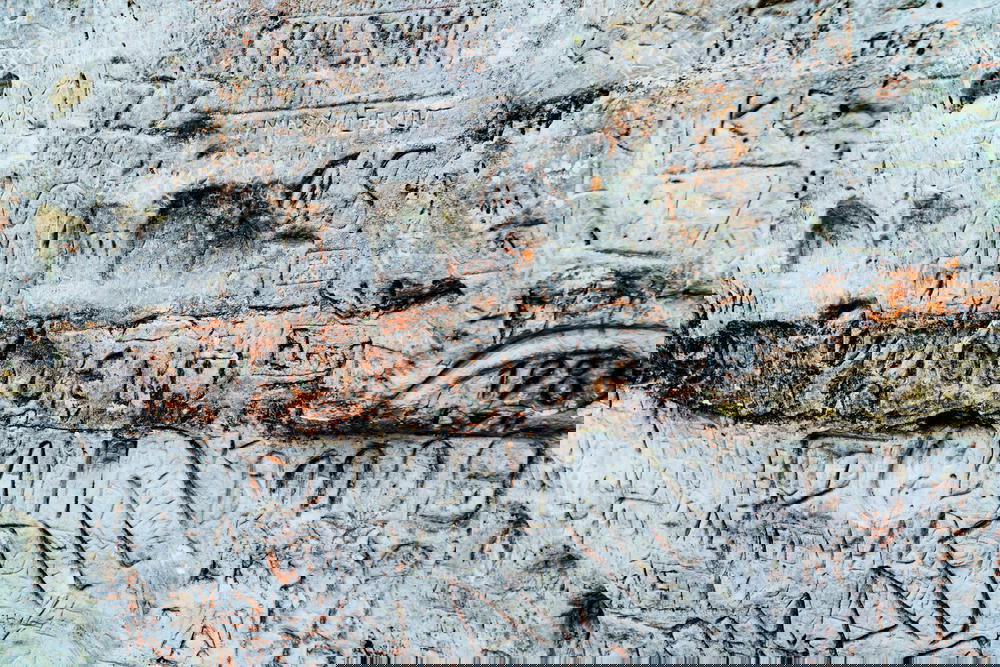 Graffiti on the wall of a building.