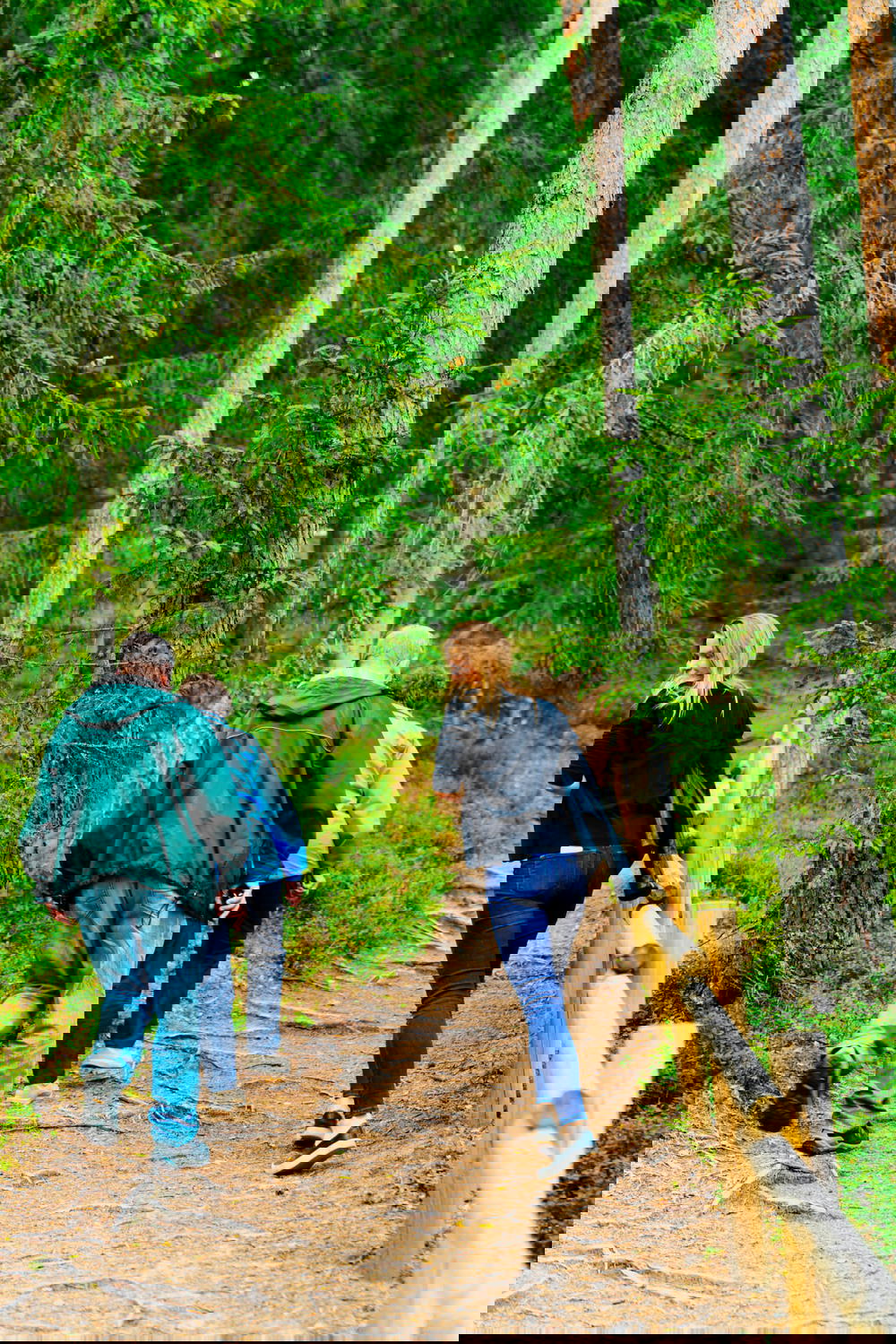 A group of people walking down a path in the woods.