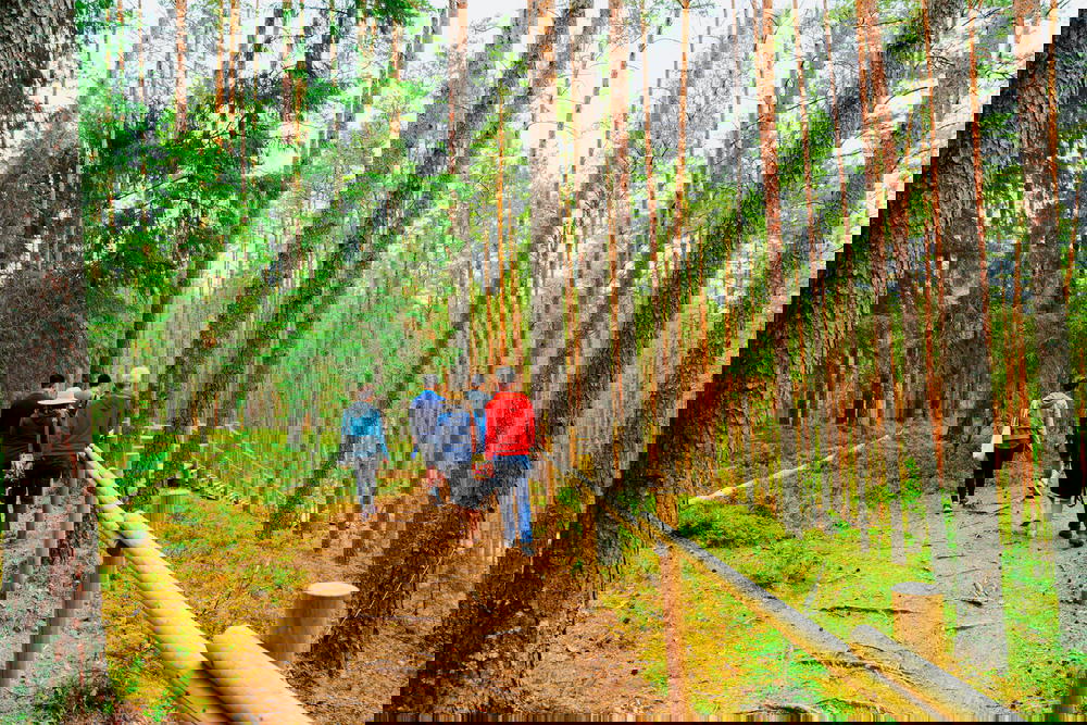 A group of people walking down a path in a forest.