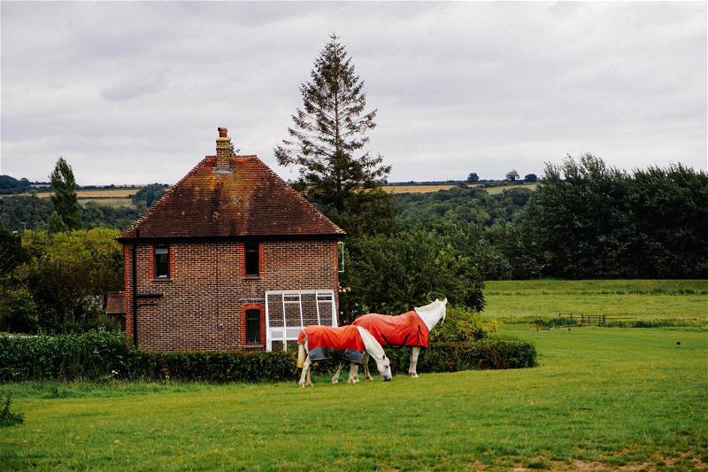 Two horses standing in a field next to a house.