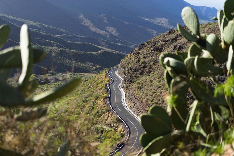 A winding road with cactus plants in the background.