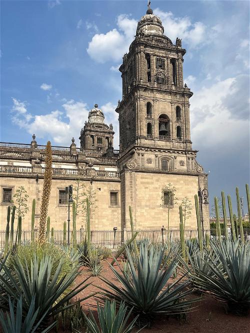 A church with cactus plants in front of it.
