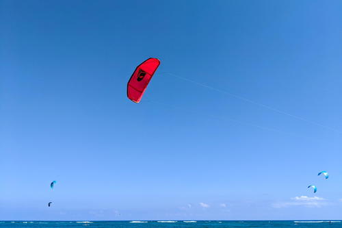 A group of people flying kites in the ocean.