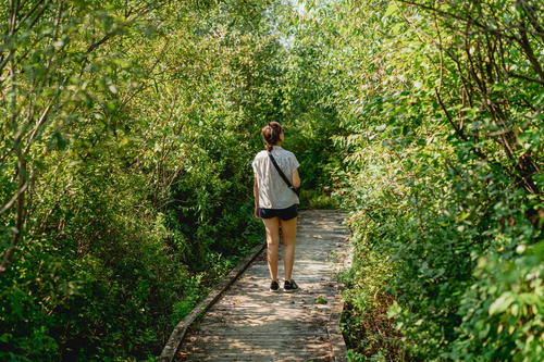 A woman is walking down a path in the woods.