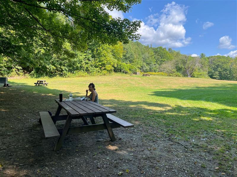 A woman sitting at a picnic table in a field.