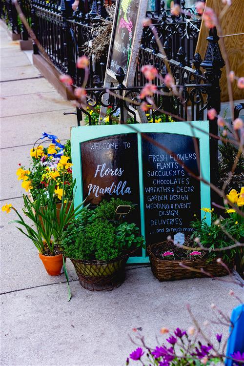 Potted flowers and plants next to a flower shop sign on a sidewalk in Boston