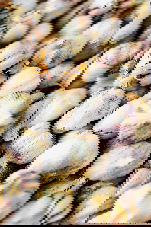 Heads of white garlic for sale in a market