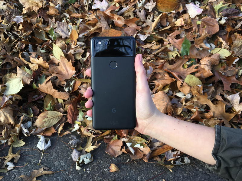 A person holding a black google pixel phone in front of leaves.