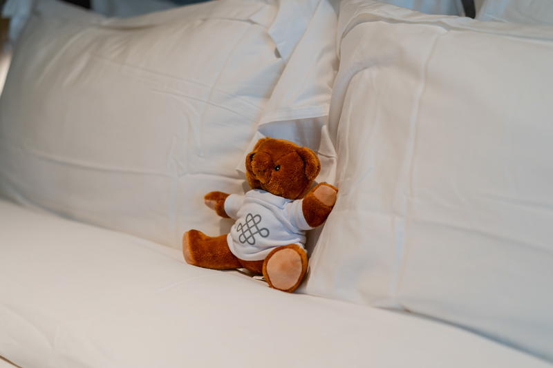 A teddy bear in the bed in between the pillows at the Muir Hotel in Halifax.