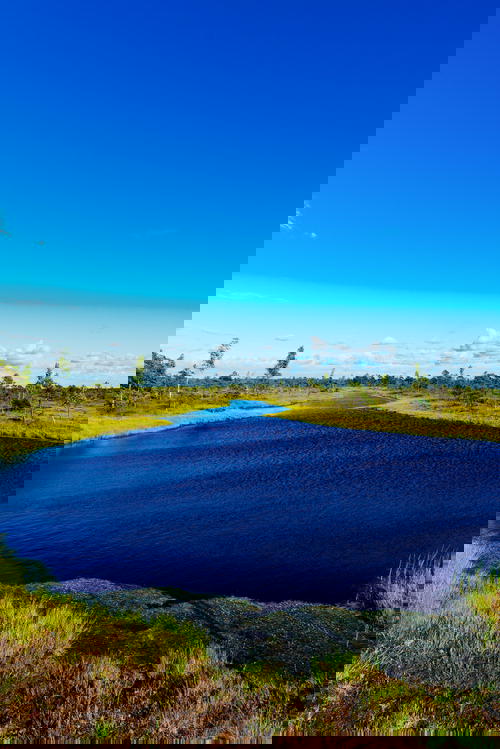 Bright blue body of water surrounded by green bogland and a clear blue sky