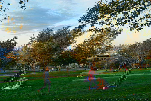Green grassy areas of Sunset Park at golden hour