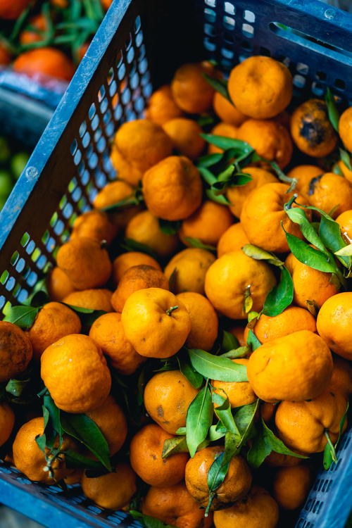 A bunch of oranges in a basket.