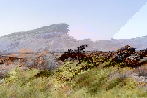 Desert landscape of mountains, rock and desert plant life at El Teide National Park in Tenerife, the Canary Islands, Spain