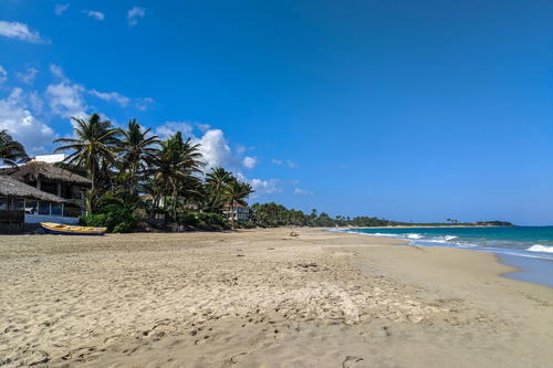 Surfer beach lined with palm trees in the Dominican Republic