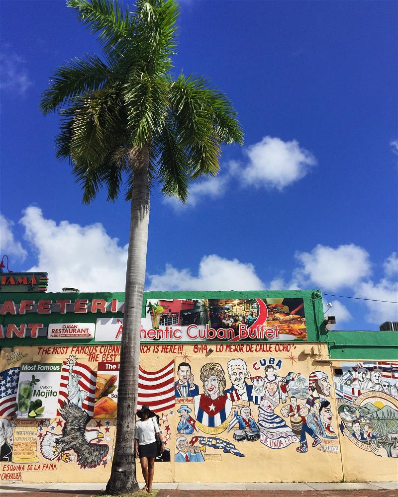 A palm tree in front of a building with a mural on it.