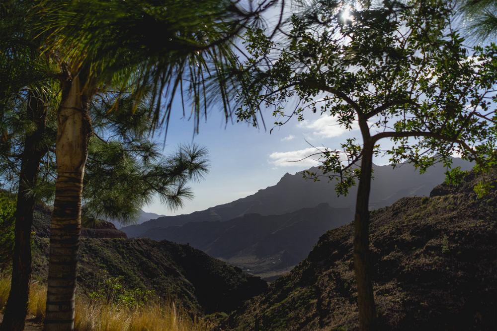 Landscape in Gran Canaria, Canary Islands