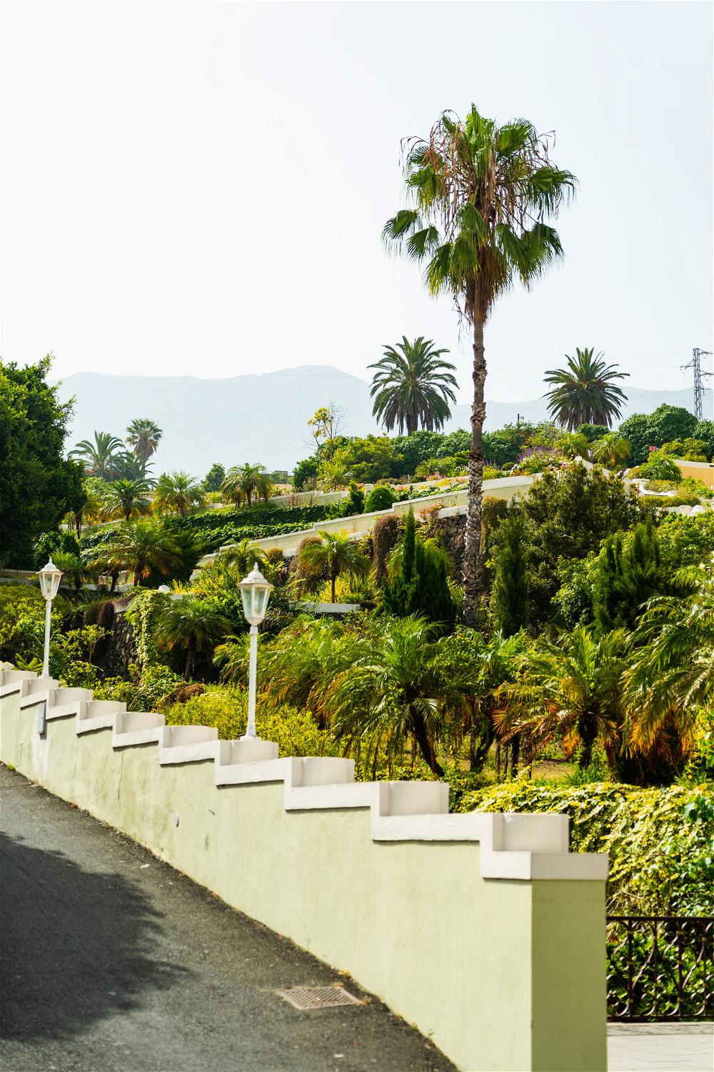 Palm trees and gardens line a walkway