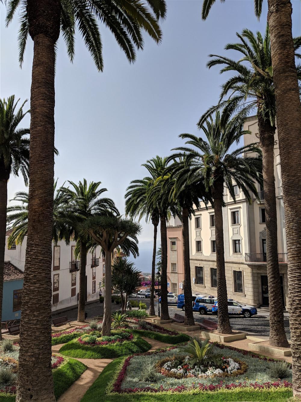 Historic Canary Islands style outdoor palm tree garden in downtown area