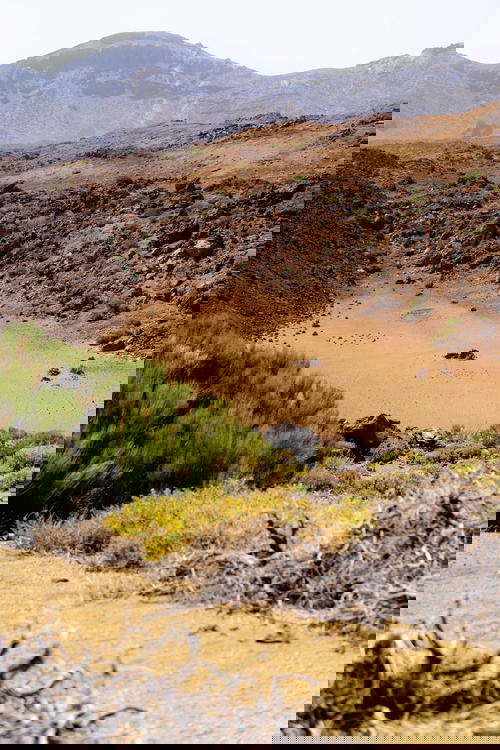 Desert mountains, desert rocks and desert shrubbery at El Teide National Park in Spain