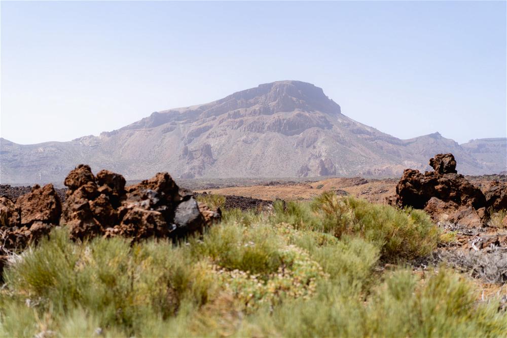 Desert landscape of mountains, rock and desert plant life at El Teide National Park in Tenerife, the Canary Islands, Spain