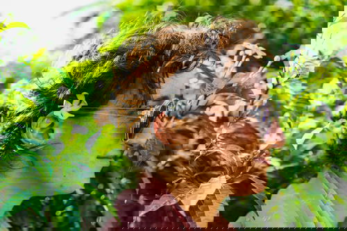 A woman adorned with a flower in her hair in Sri Lanka.