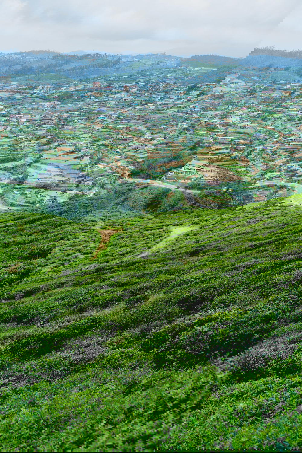 Green hills with a town in the distance in Nuwara Eliya, Sri Lanka