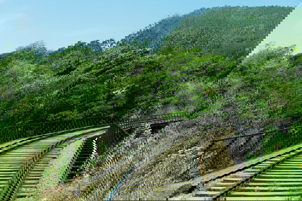 Empty train tracks in Sri Lanka