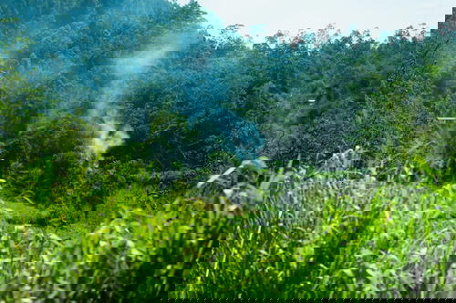 Smoke coming out of a forest in Sri Lanka.