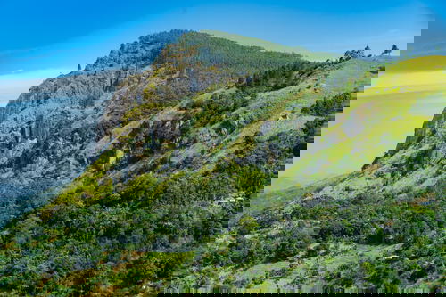 A view of a green hillside in Sri Lanka with trees and green grass.