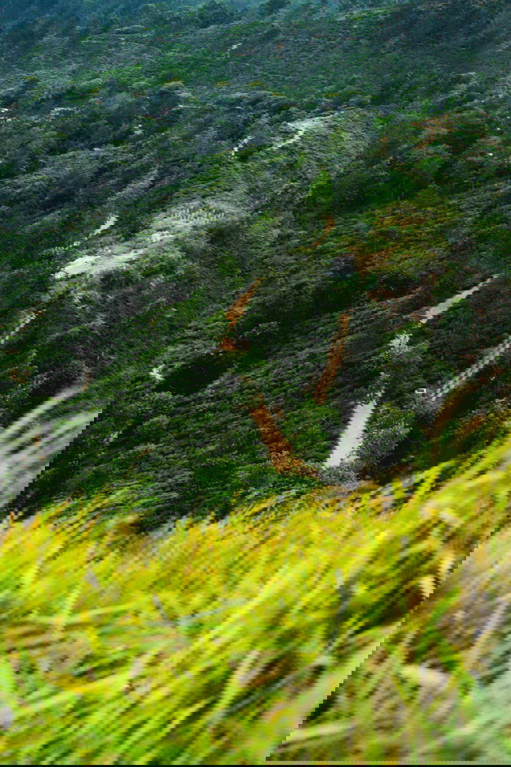 View from above a hike in Sri Lanka