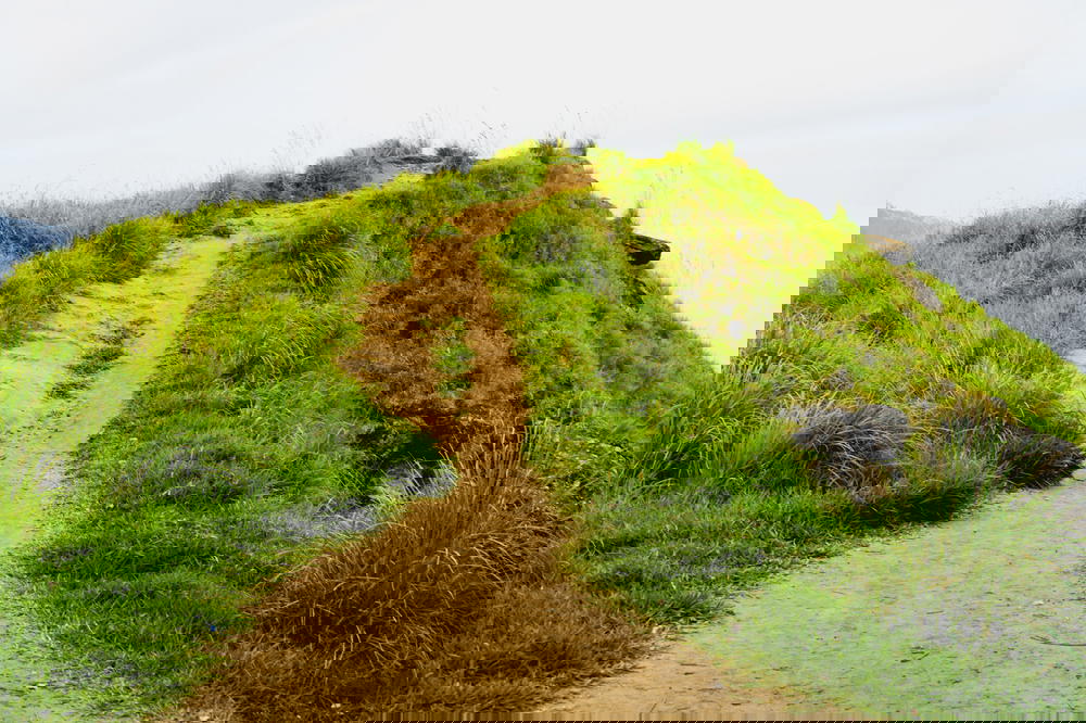 Dirt path on Little Adam's Peak in Sri Lanka