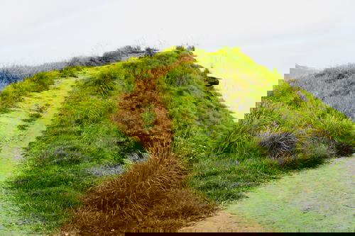 A dirt path leading up to a grassy hill in Sri Lanka.