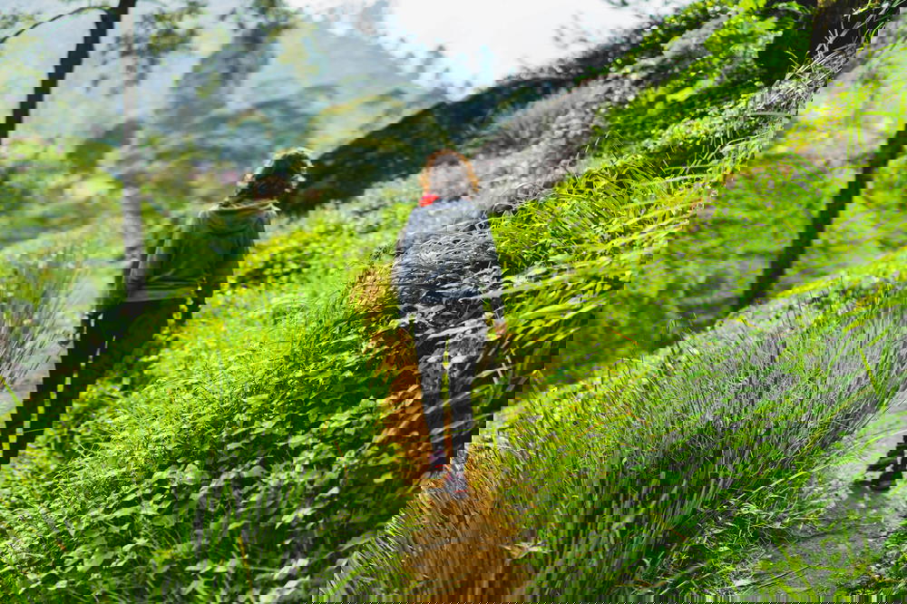 Woman walking in tea field