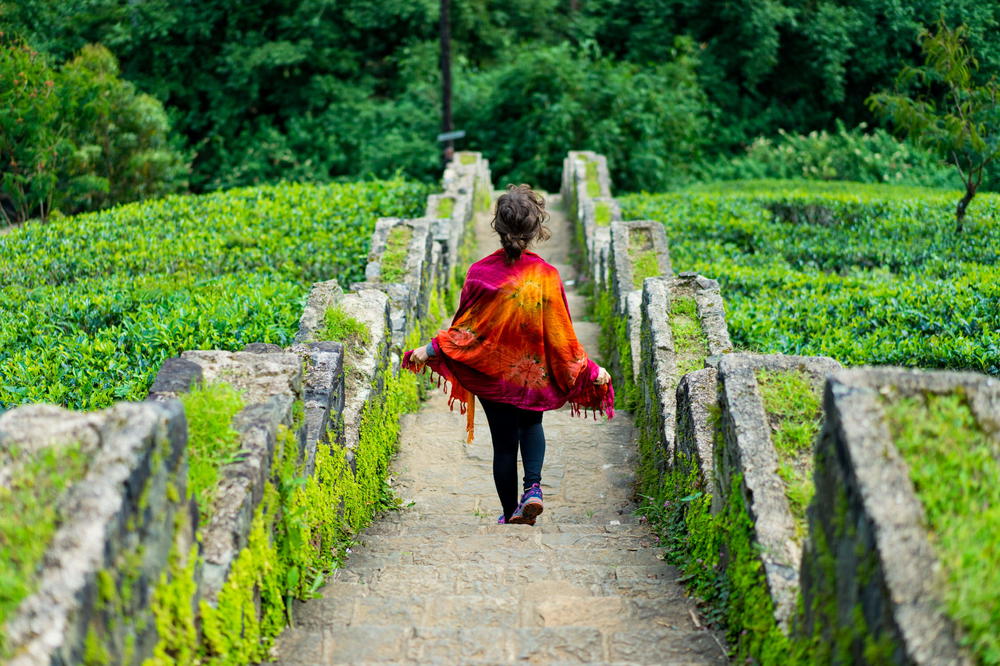 A girl strolling through Mackwoods Ceylon Tea Plantation in Sri Lanka.