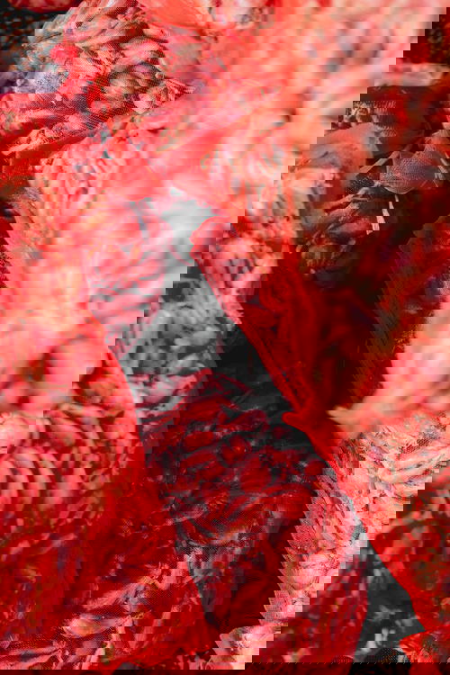 Red mesh sacks of cloves of garlic stacked on top of one another