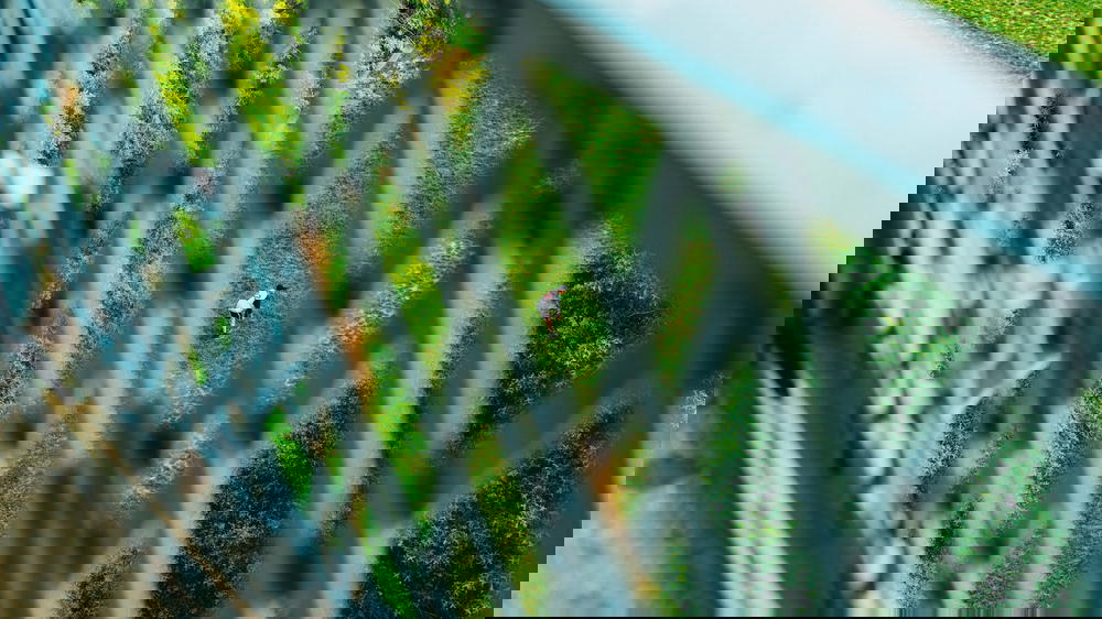 Man playing baseball on a field taken from above on the Manhattan Bridge