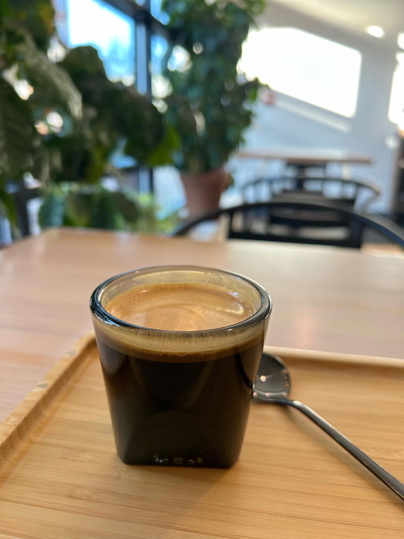 8 Best Coffee Shops in Burlington, VT (and Nearby!)