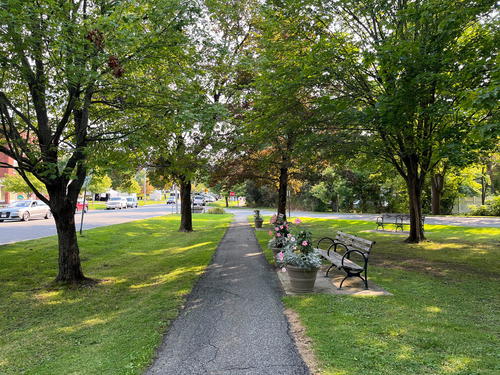 A Lenox sidewalk enhanced with benches and trees.