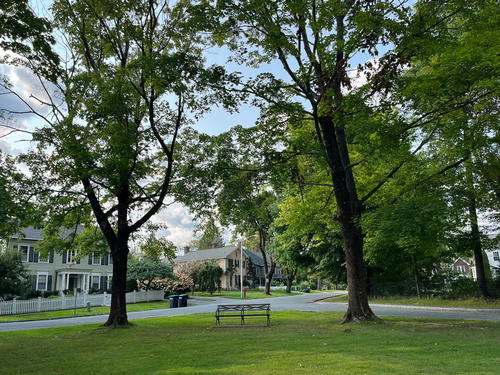 A bench in the middle of a grassy field in Lenox, Massachusetts.