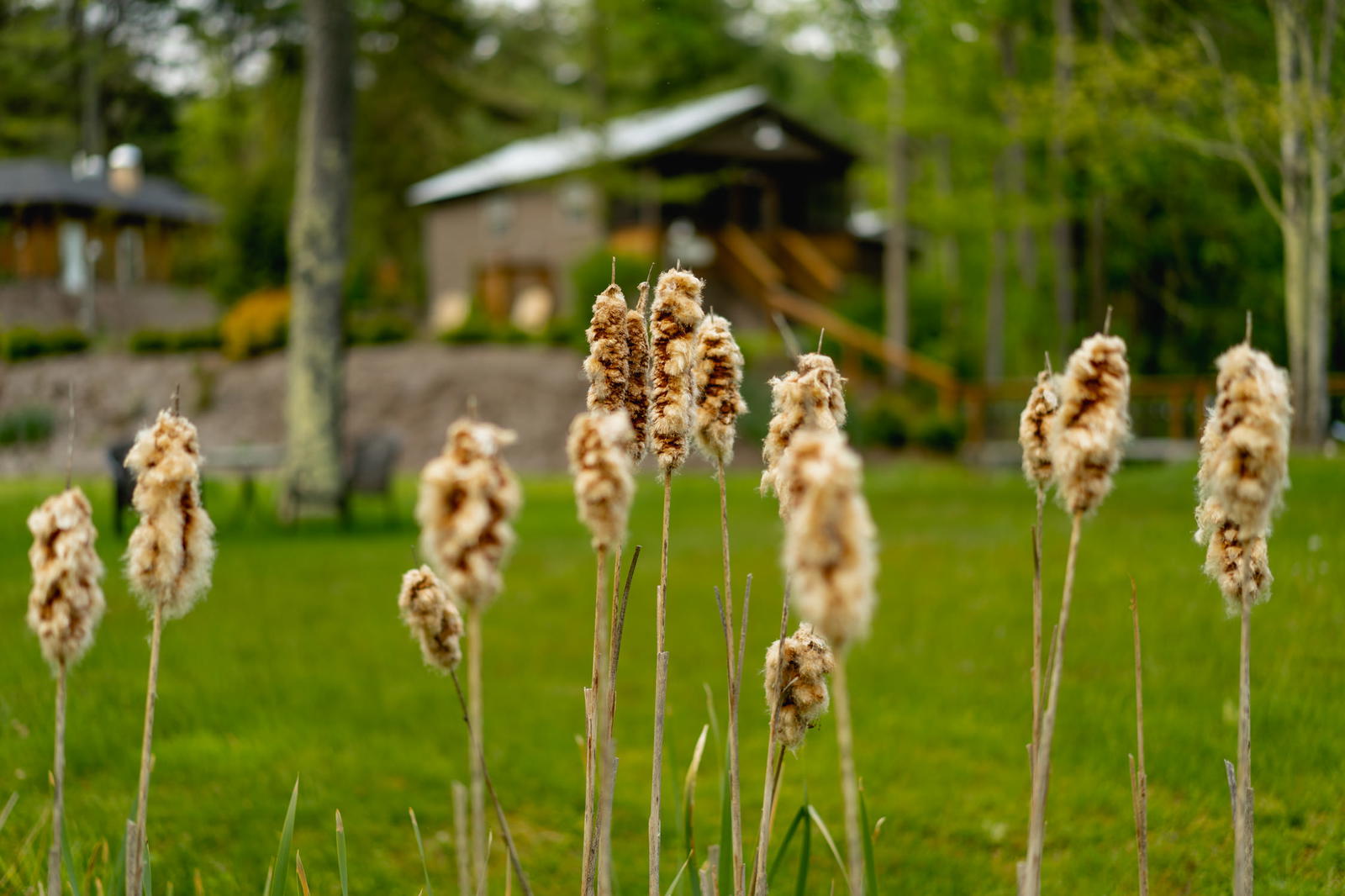 Photo Gallery: A trip to Livingston Manor in the Catskills