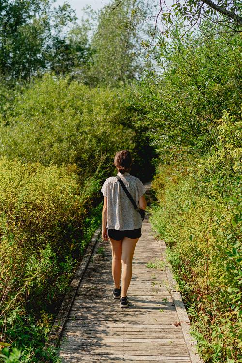 A woman strolling along a wooden boardwalk in Pittsfield, Massachusetts.
