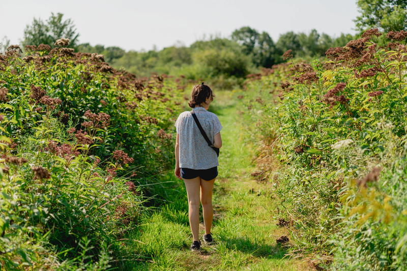 A young woman walking through a field in Pittsfield, Massachusetts.