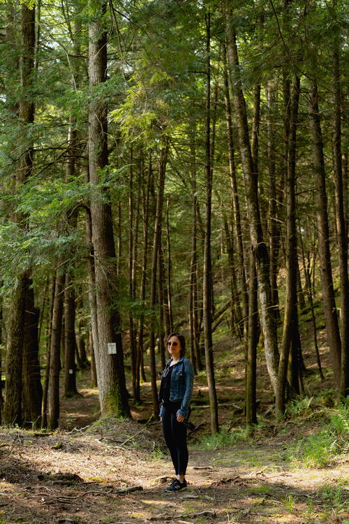 A woman standing in The Catskills, New York, in a wooded area near Antrim Streamside.
