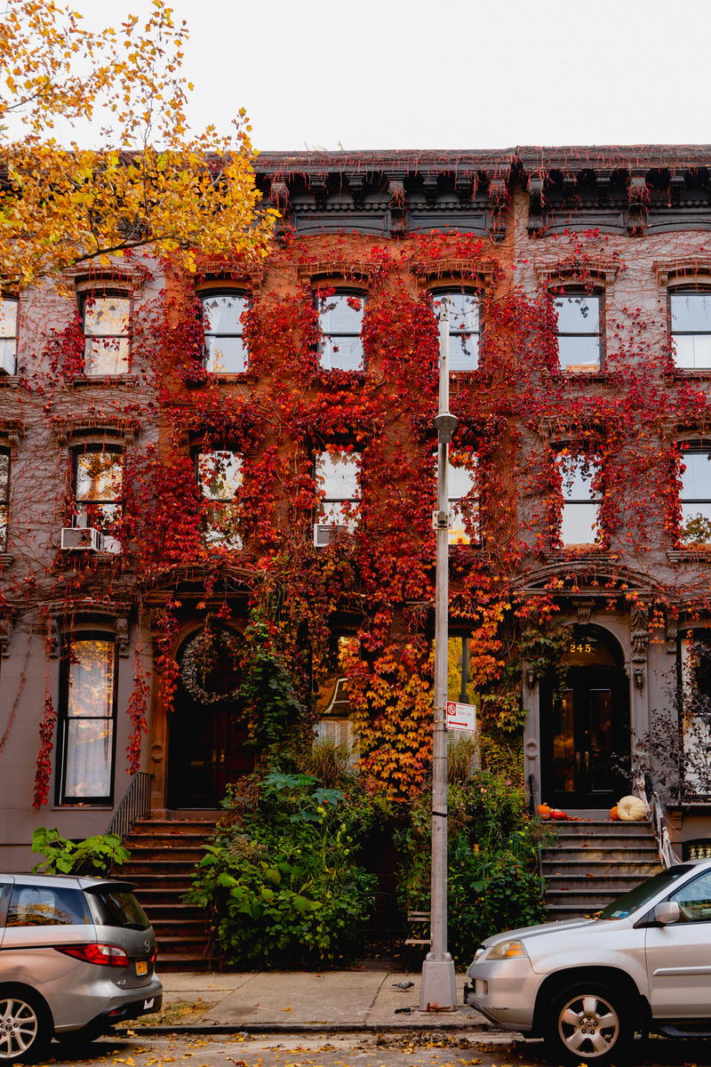 A red brick building with ivy growing on it in New York City.